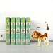 set of 5 vintage golden star library books