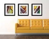 Collection of Three 11"x14" Abstract Palm Tree Photographs. 20% Savings. Affordable Home Decor. Tropical Wall Art.