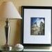 New Orleans St. Louis Cathedral Photograph French Quarter 8"x10" Print Jackson Square Louisiana Mardi Gras.