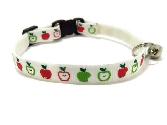 An Apple a Day Breakaway Cat Collar