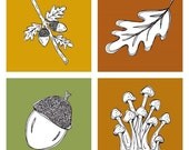 BOGO SALE - Fall Woodland Set of 4 Art Prints 5x5 - Quick Draw