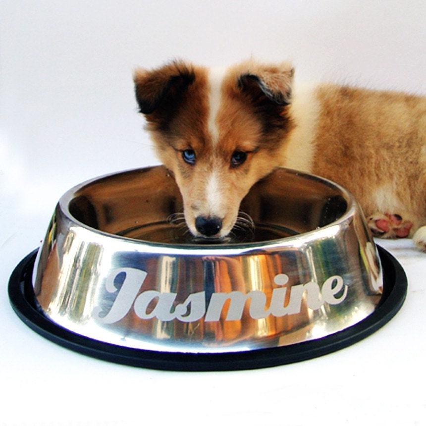 Large - Chrome - Personalized Stainless Steel Dog Bowl - Name