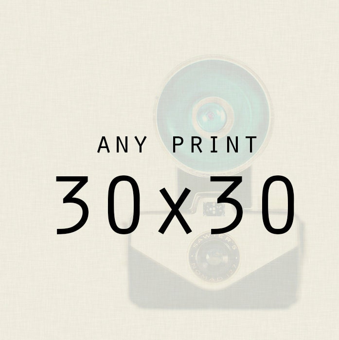 Photography - Wall Art - Any 30x30 inch metallic print