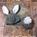 On Sale Now SALE LSBV Little Bunny Photography Set
