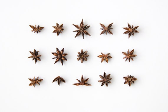 Star Anise Collection. 8x10. Fine Art Photographic Print. Minimal, herbs. Natural Home Decor. Indoor garden botanical. Kitchen