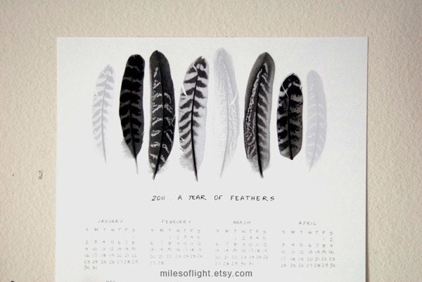2011 Feathers Calendar (2) - 8.5x11