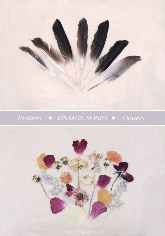 Vintage Flowers. 8x10. Fine Art Photographic Natural History Print. Minimal simple style. Natural Home Decor. Indoor garden botanical