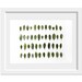 Leaves Collection N1. 8x10. Fine Art Photographic Natural History Print. Minimalist. Natural Home Decor. Indoor garden botanical.