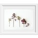 Spring N1. 8x10. Fine Art Photographic Natural History Print. Minimal style. Natural Home Decor. Indoor garden botanical. Mother's Day