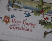 1928 Christmas Postcard Holly Bluebird Winter Scene