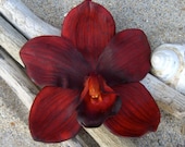 Floral Hair Clip-Dark Brick Red-Large Orchid Flower Hair Clip, Weddings, Tropical Hair Clip, Summer Hair, Hawaii, Luau Party