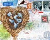 The Royal "Nest"  Postcard