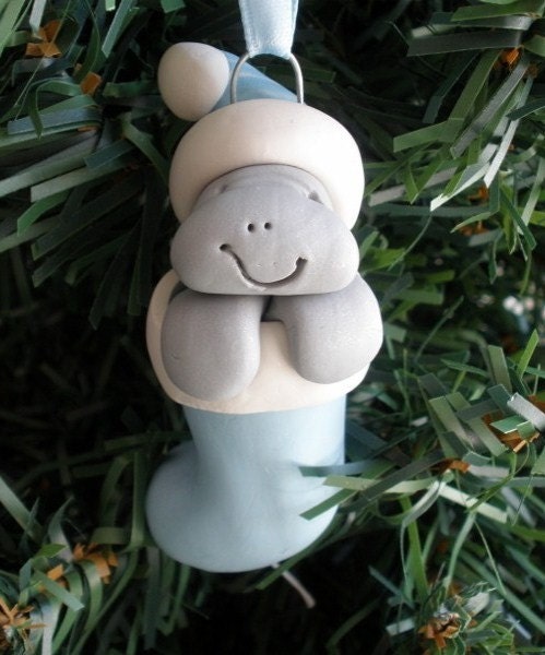 Clay Manatee