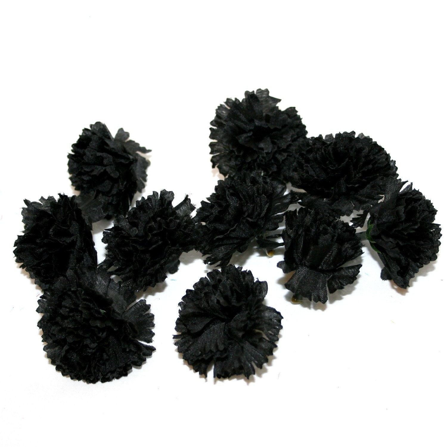 Black Carnation Flower