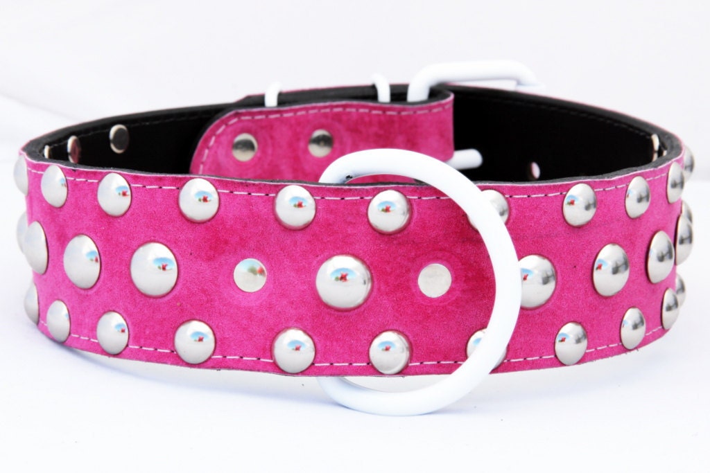 1.5" pink suede  leather collar, leather dog collar  size 16-20"