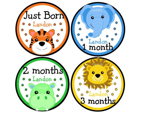 Baby Month Stickers - Boy Personalized Monthly Onesie Stickers (Jungle Safari)-Includes Newborn, Large 12 Month, and Bonus Stickers