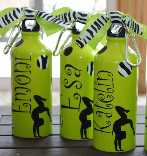 Gymnastics Or Dance And Zebra Polka Dot Aluminum Water Bottle