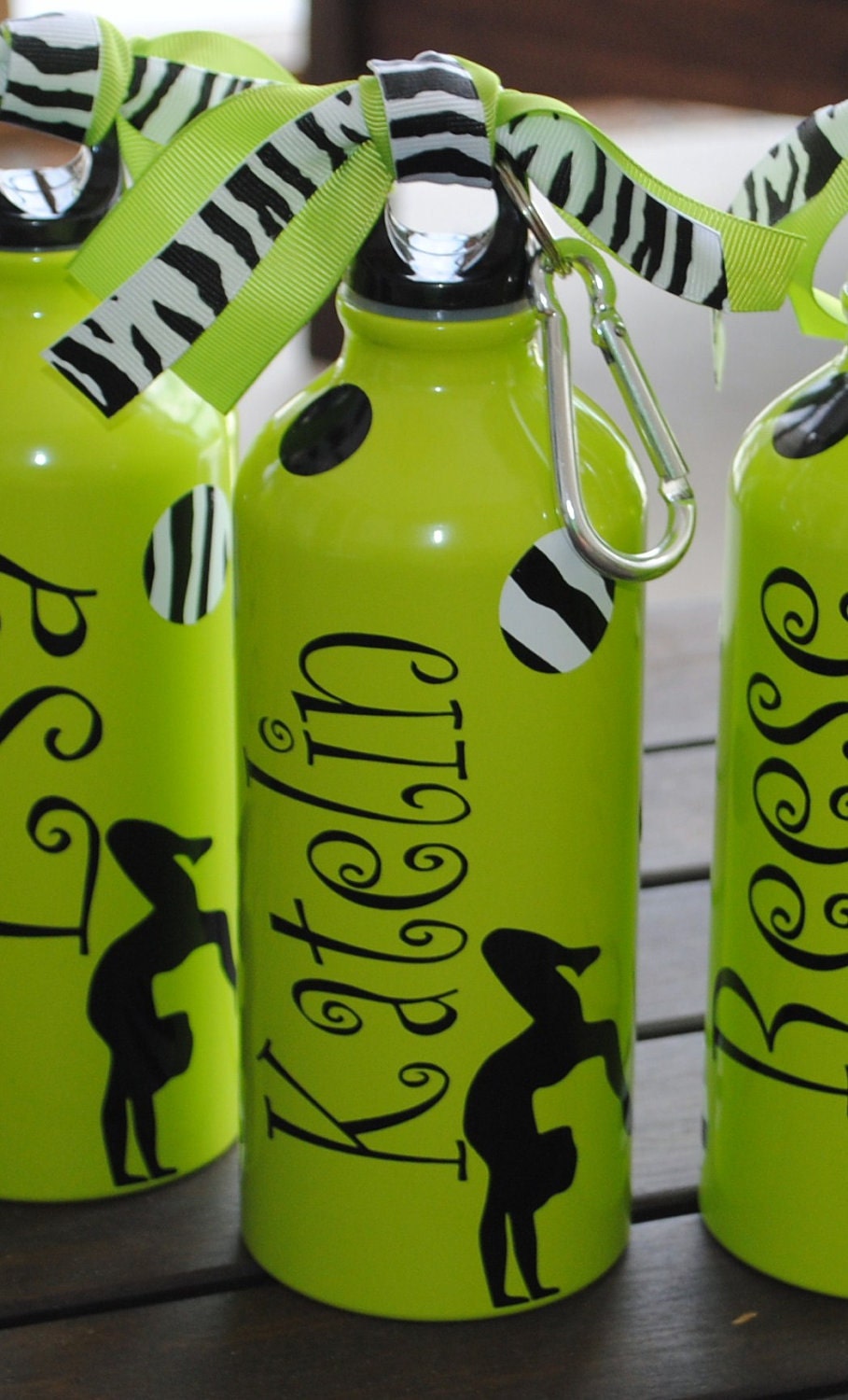 Gymnastics Or Dance And Zebra Polka Dot Aluminum Water Bottle