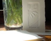 Handmade Cards - Package of 3 Embossed Daisy Mini Cards with Green Envelopes