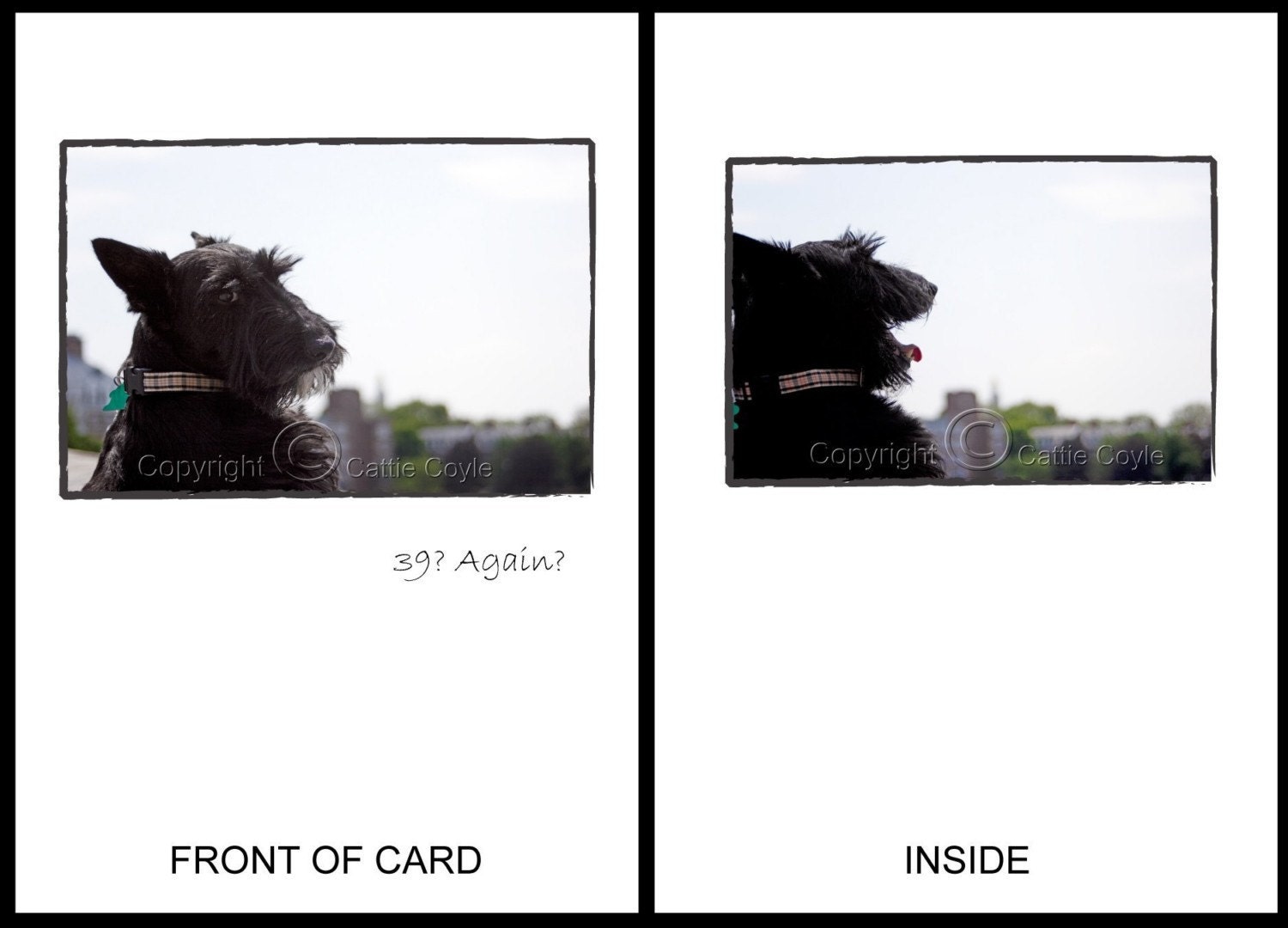Laughing Scottie - Scottie Dog Birthday Greeting Card