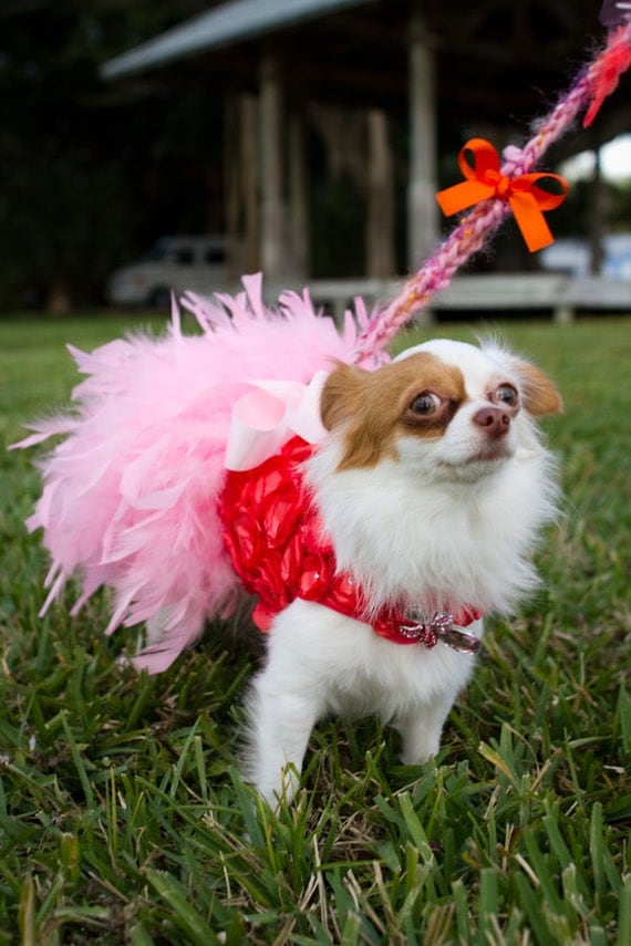 Coral and Pink Rosette Feather Harness Dog Dress