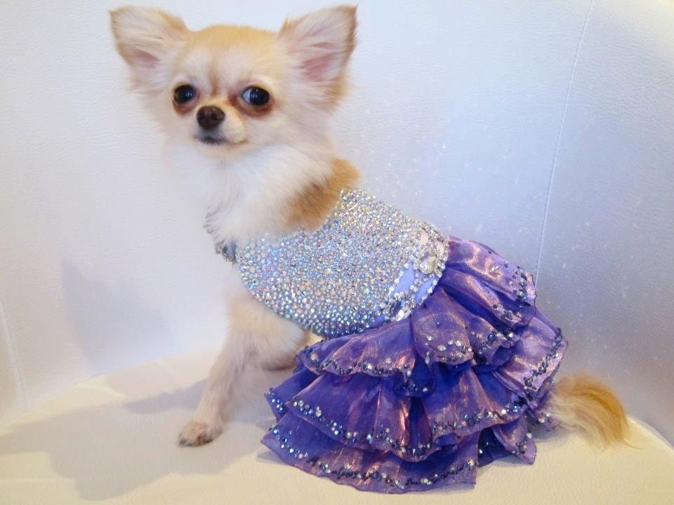 Sparkling Mystic Swarovski Crystal Couture Dog Dress