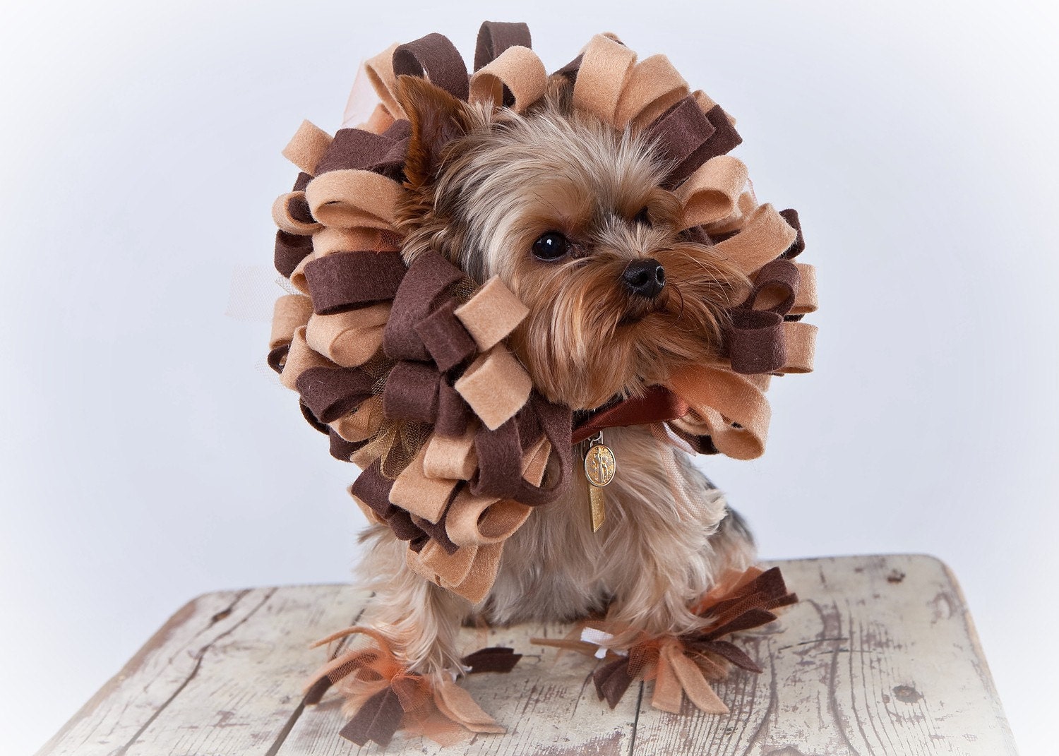 Lion Dog Costume - Pet Halloween Costume - Rush Order - Size Medium