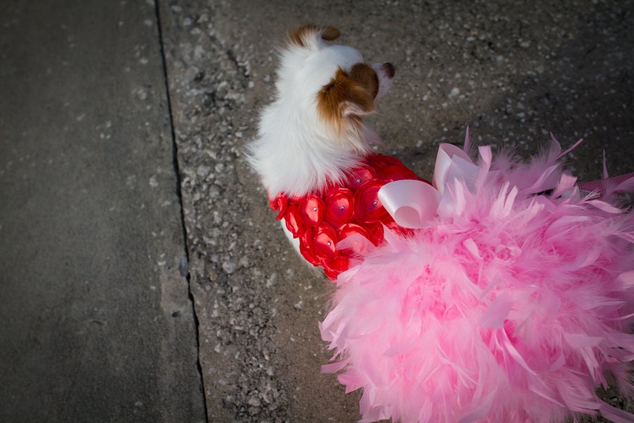 Coral and Pink Rosette Feather Harness Dog Dress