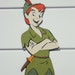 Disney Peter Pan Party Decor