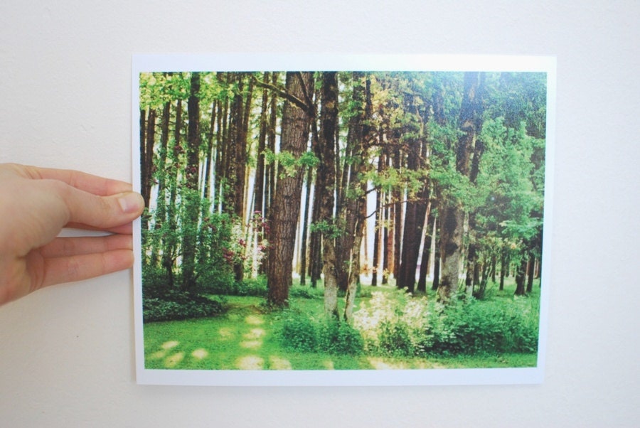 Woodland Photography - 8 x 10 - The Forest Will Keep Your Secrets