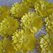 Handmade Maize Yellow Paper Mums  - Set of 10