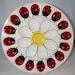Large Deviled Egg Plate - Daisy & Ladybugs