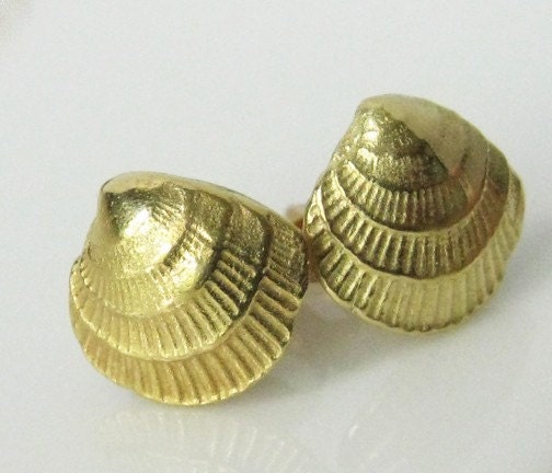 Shell Earrings 18k Gold Cross Barred Venus Hatteras