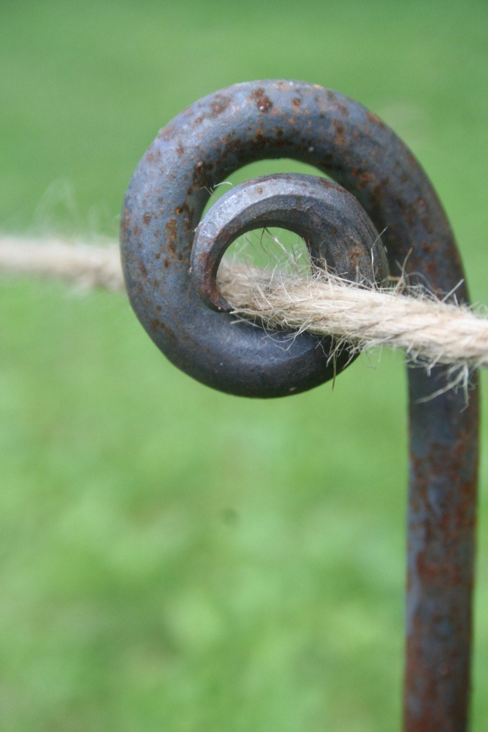 Garden fiddlehead stake (3 ft length)