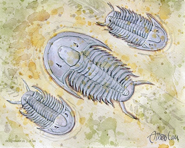 Three Trilobites