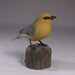 Blue-winged Warbler Hand Carved Wood Bird