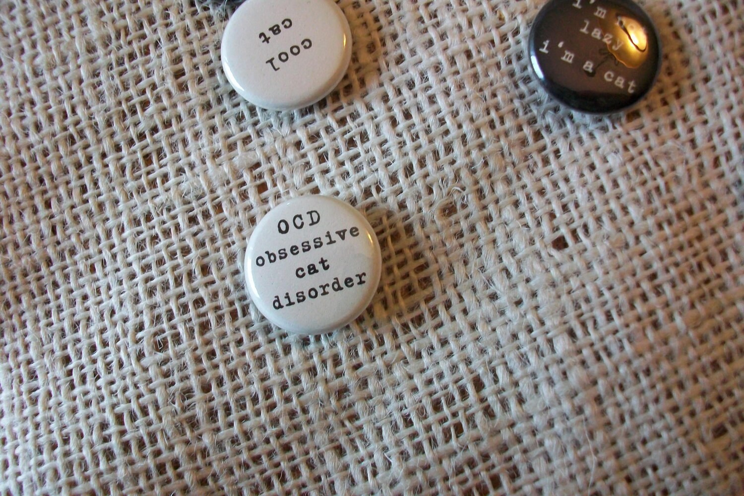 Cat Lover Magnets- OCD Obsessive Cat Disorder - 99 each