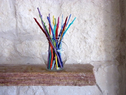 Colorful Home Decor, Branches in Vase