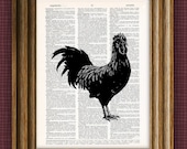Rooster beautifully upcycled vintage dictionary page book page altered art print 8.5 x 11