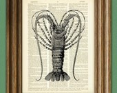 ROCK LOBSTER art print beautifully upcycled vintage dictionary page book art print