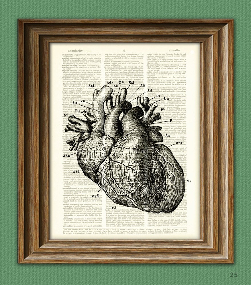 It's a HUMAN HEART diagram beautifully upcycled dictionary page book art print