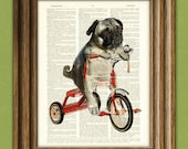 Pug Art Print Mike the Trike pug dog on a tricycle original art vintage dictionary page book art print