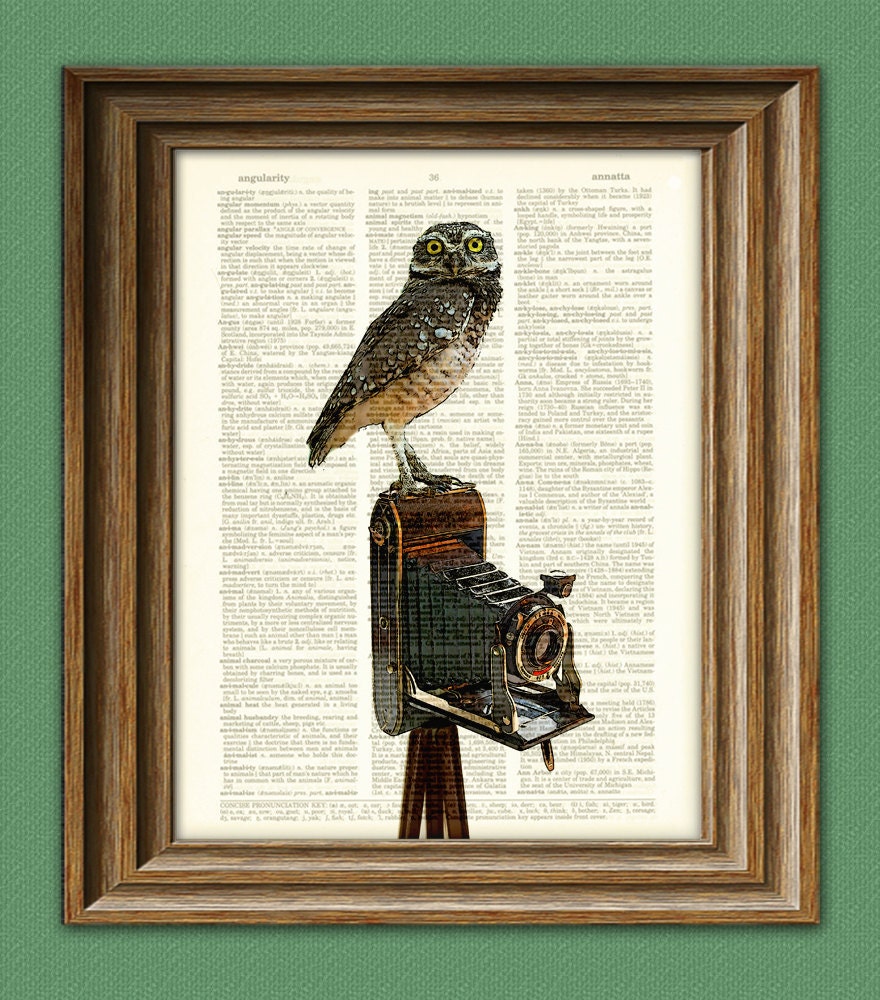 Camera Vintage Owl Art Print The Photographer's Muse  illustration beautifully upcycled dictionary page book art print