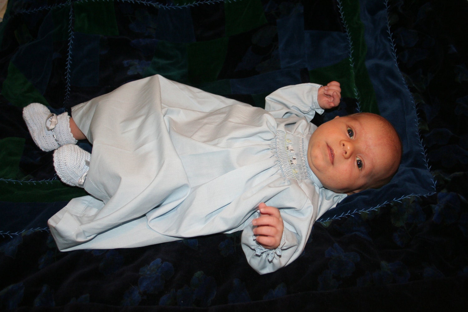 Little Lamb in Blue
