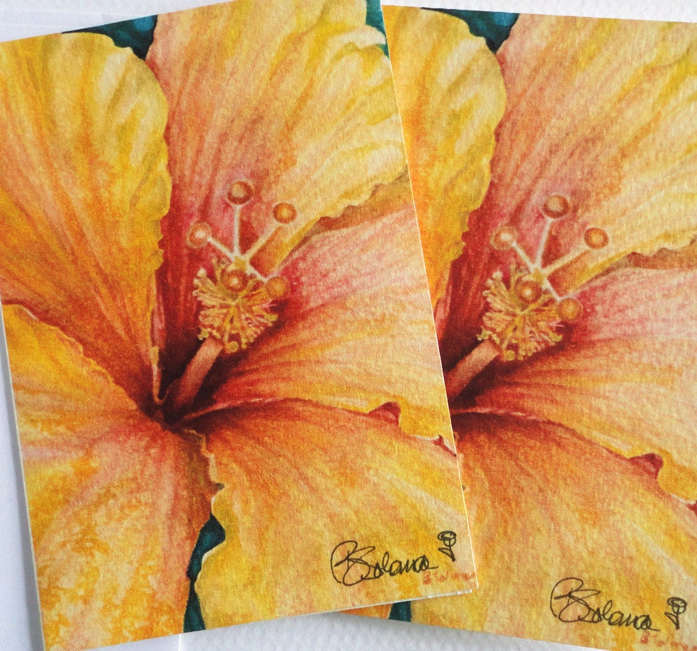 flower cards, hibiscus card set, notecards