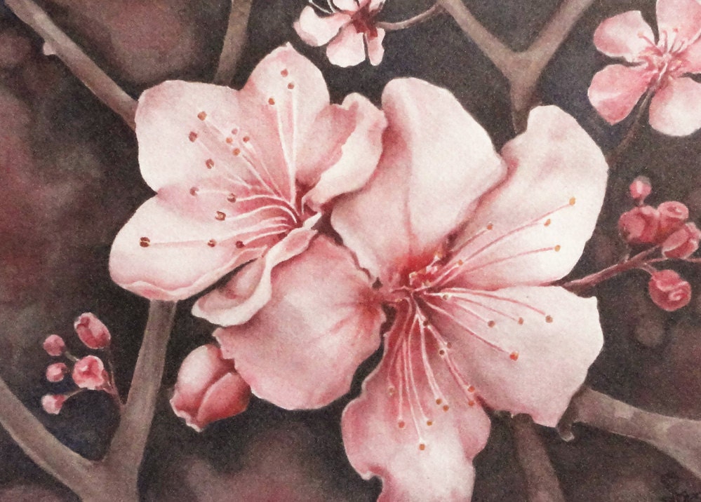 cherry blossoms, watercolor art print, flower painting