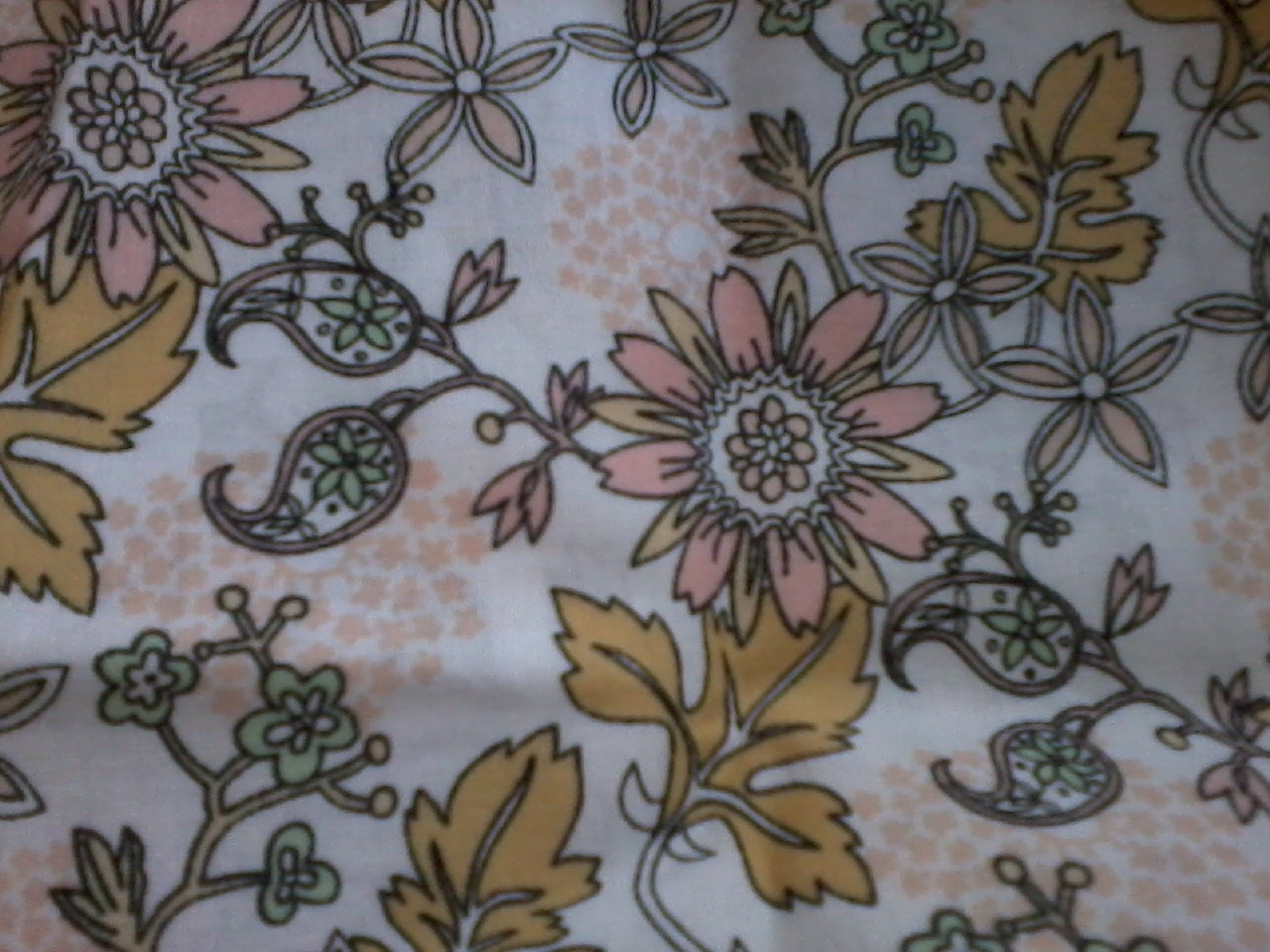Miscellany 1/2 yard 100% Certified organic cotton