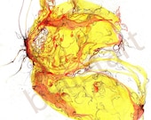 butterfly with bright yellow orange floral details  - drawing - 8.5 by 11