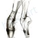 ballet on pointe - art print -