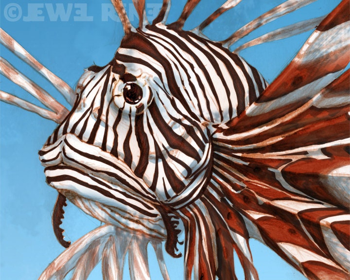 Lionfish Art - 11x14 Print - Blue Rust Brown Black Aquatic Illustration - Watercolor inspired